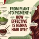 From Plant to Pigment